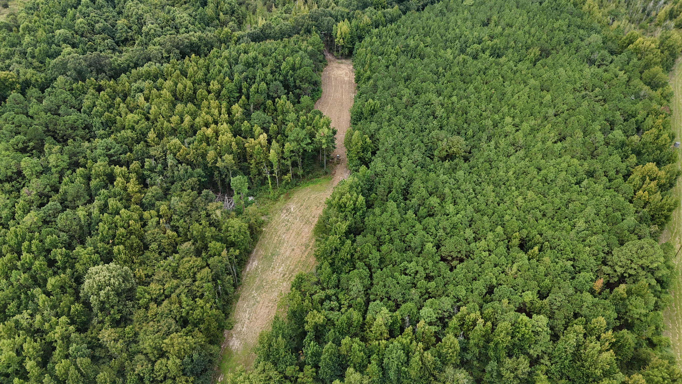 Duck and Deer Hunting Land for Sale Wisner  LA