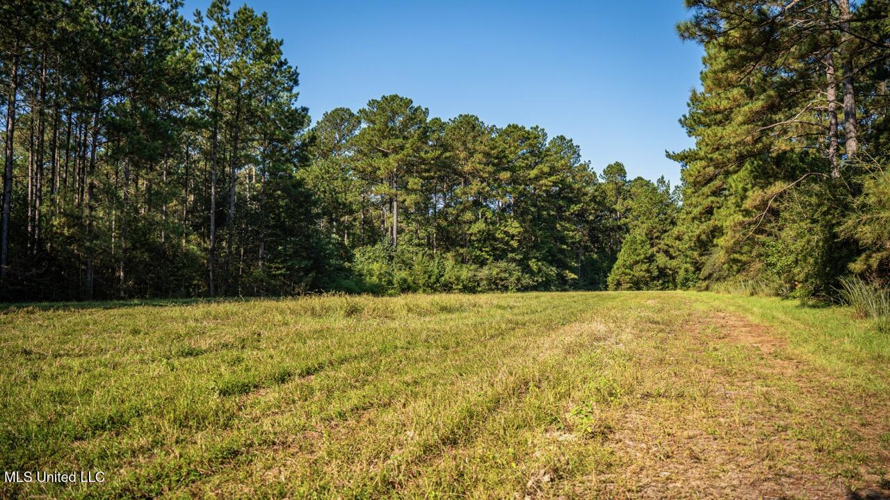 113 Acres Hunting Land with Home in Amite County, MS