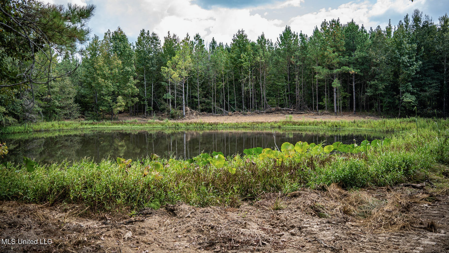302 Acres in Hermanville, Claiborne County, MS Land