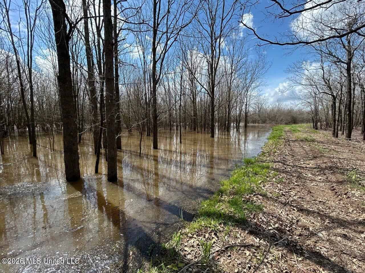 Boeuf Bend on Boeuf River North Louisiana Retreat