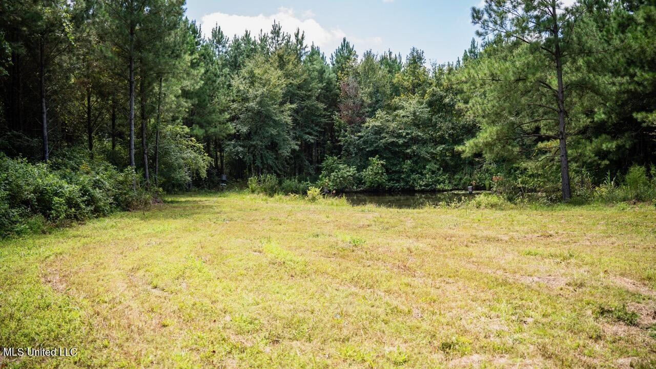 Hunting Land for Sale in Copiah County MS – Dixie Garden 46