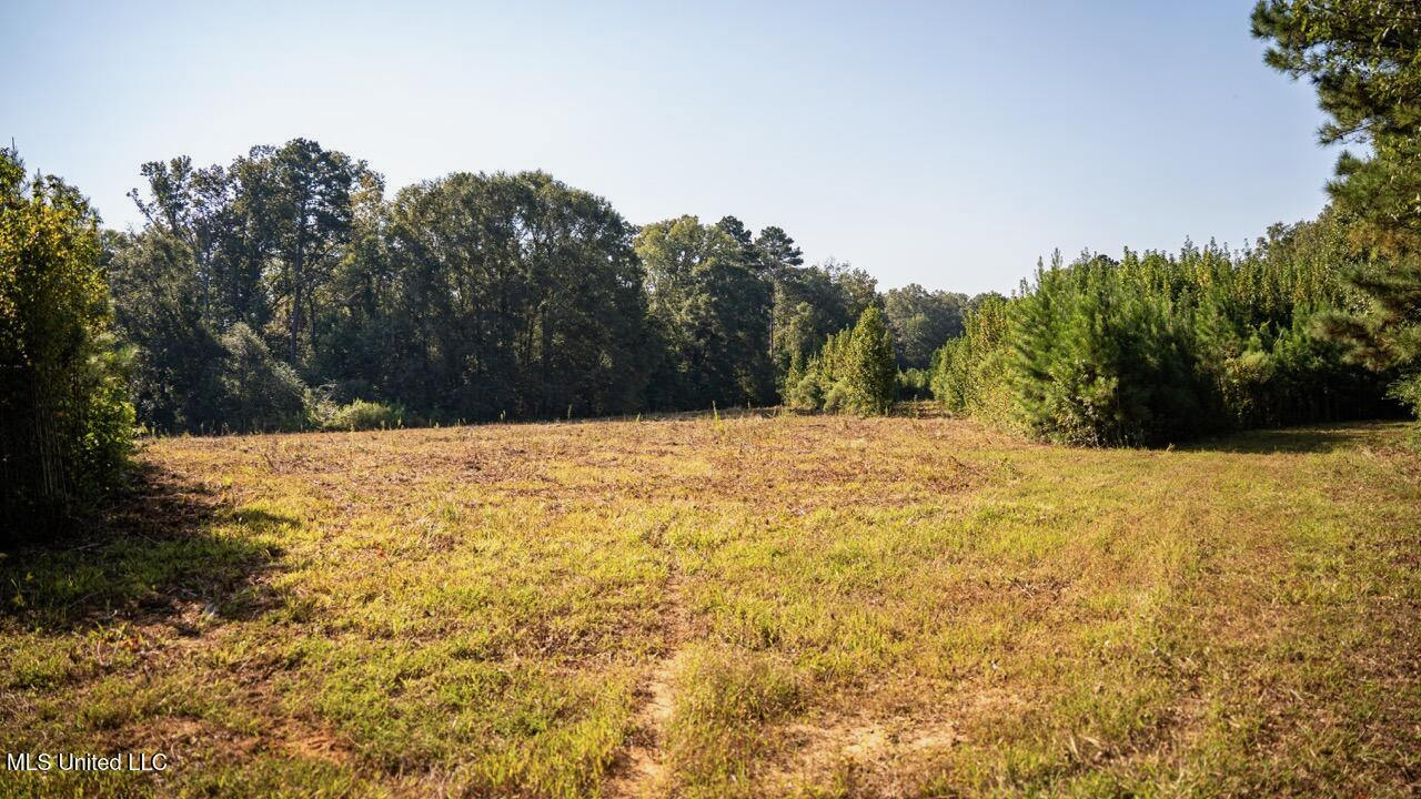 Cotton Creek 169 Acres for Sale in Amite County, MS