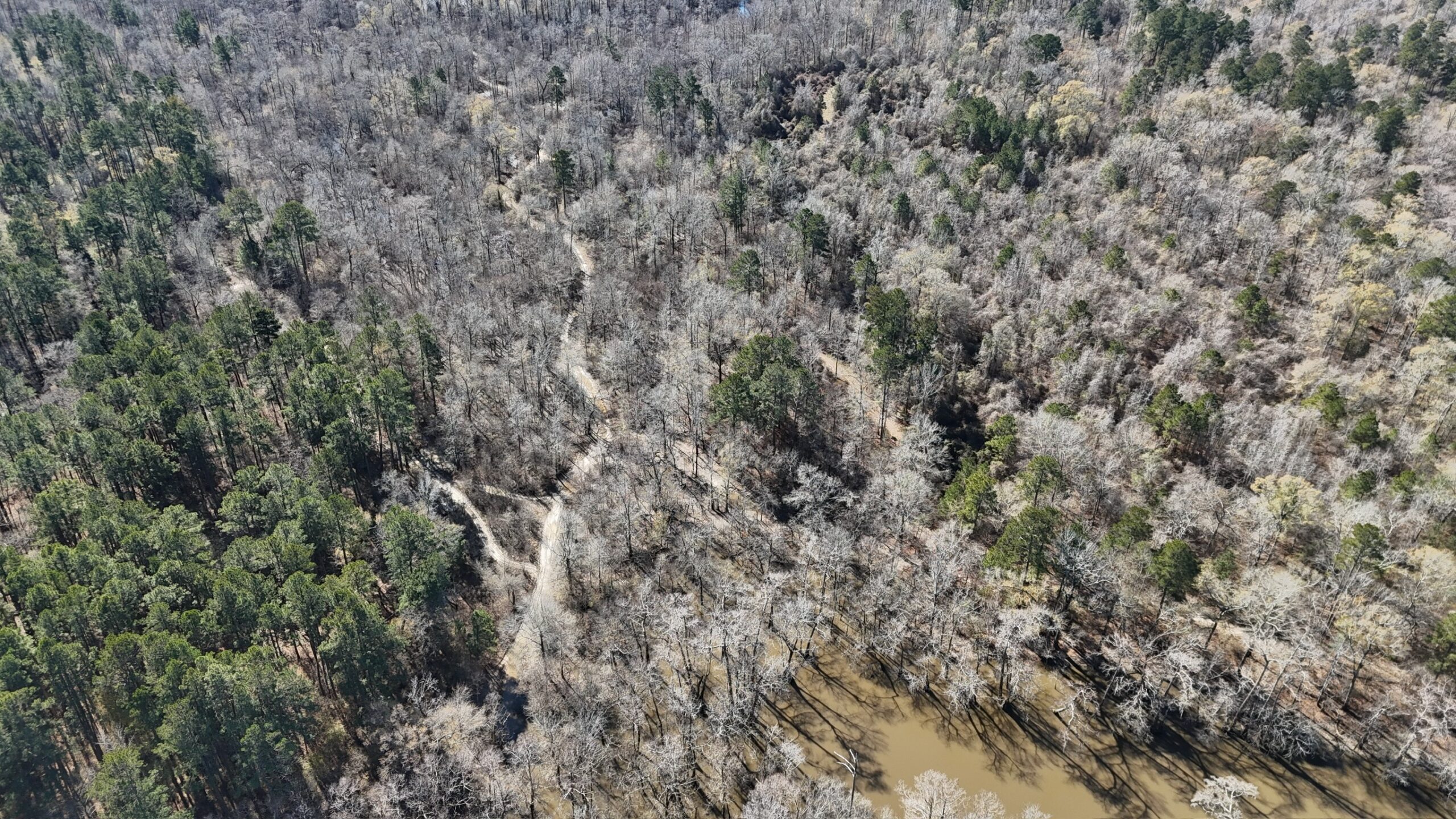 Duck, Deer, and Fishing Land for Sale on Little River