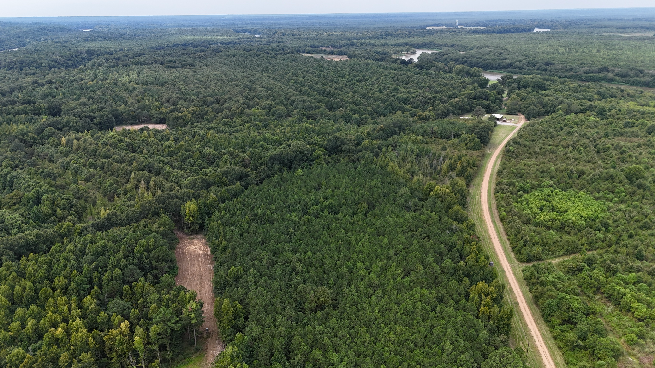 Duck and Deer Hunting Land for Sale Wisner  LA