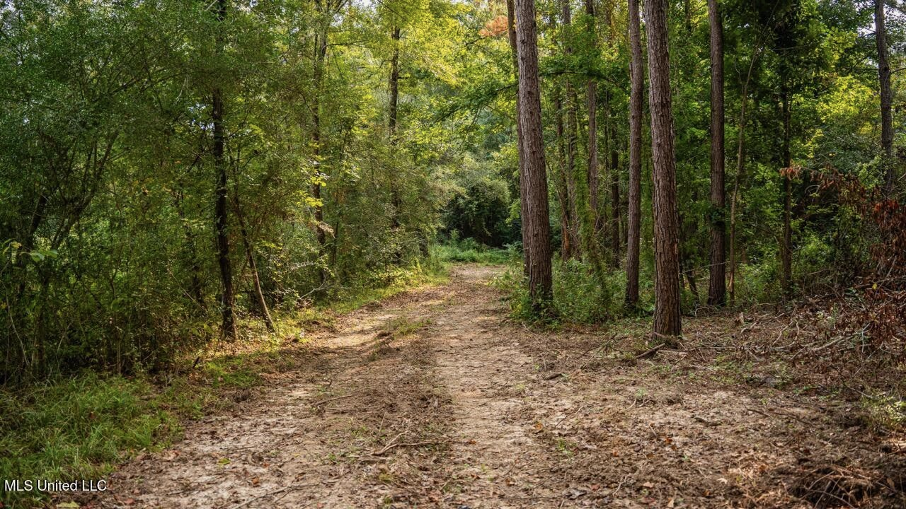 Ramsey Creek 67 Acres for Sale in Centreville, MS