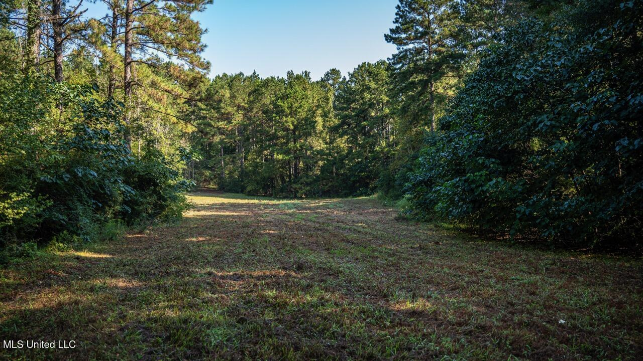 113 Acres Hunting Land with Home in Amite County, MS
