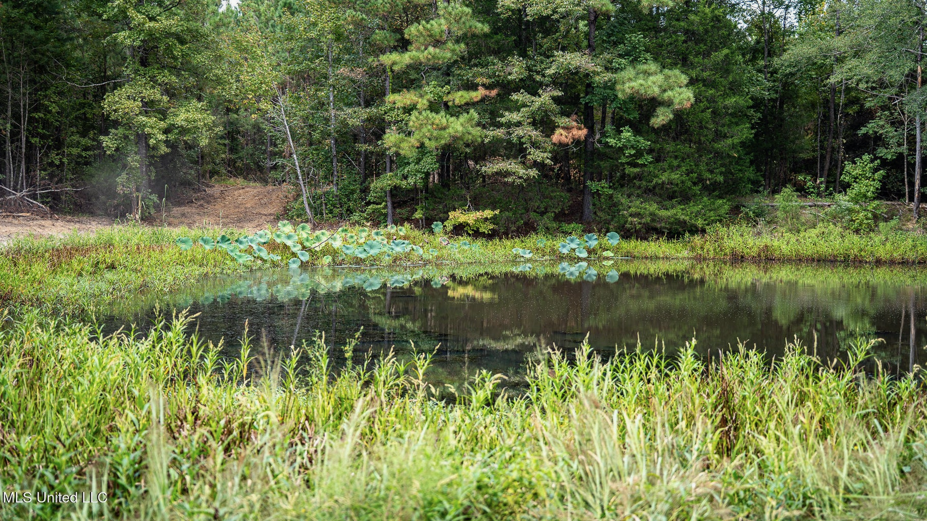 302 Acres in Hermanville, Claiborne County, MS Land