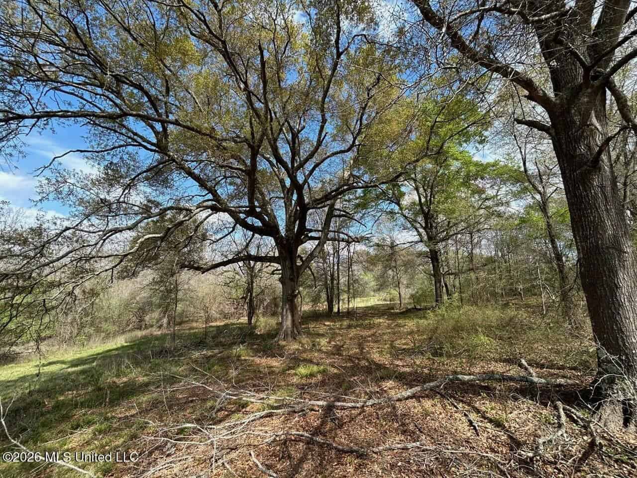 Boeuf Bend on Boeuf River North Louisiana Retreat