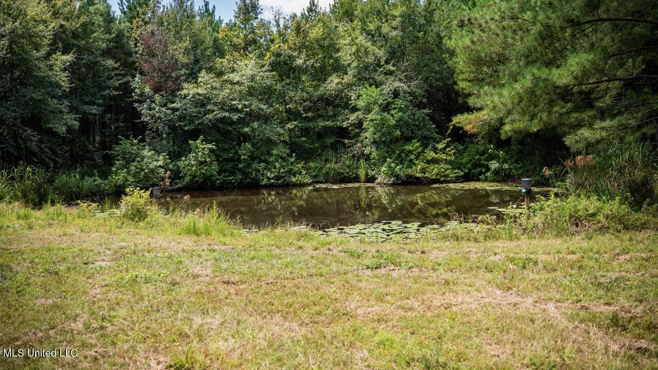 Hunting Land for Sale in Copiah County MS – Dixie Garden 46