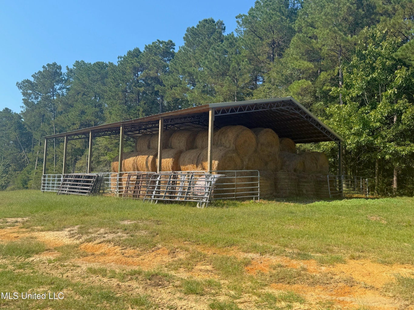 Pike Co Home with 125 Acres in North Pike School District