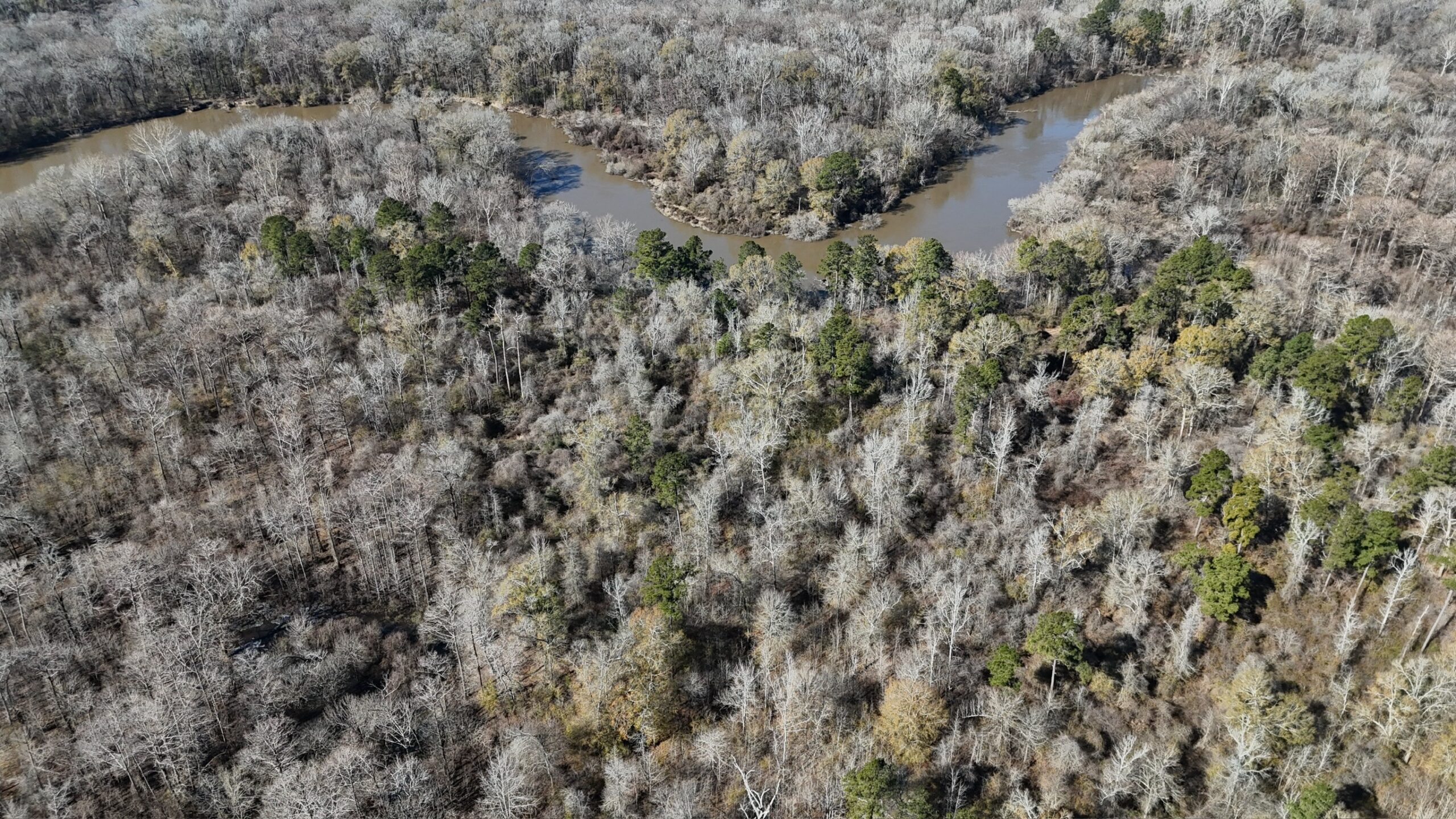 Duck, Deer, and Fishing Land for Sale on Little River