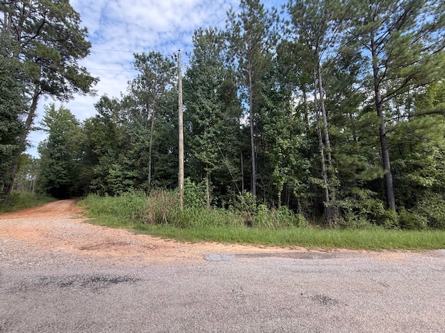 Thomaston Family Hunting and Homesite