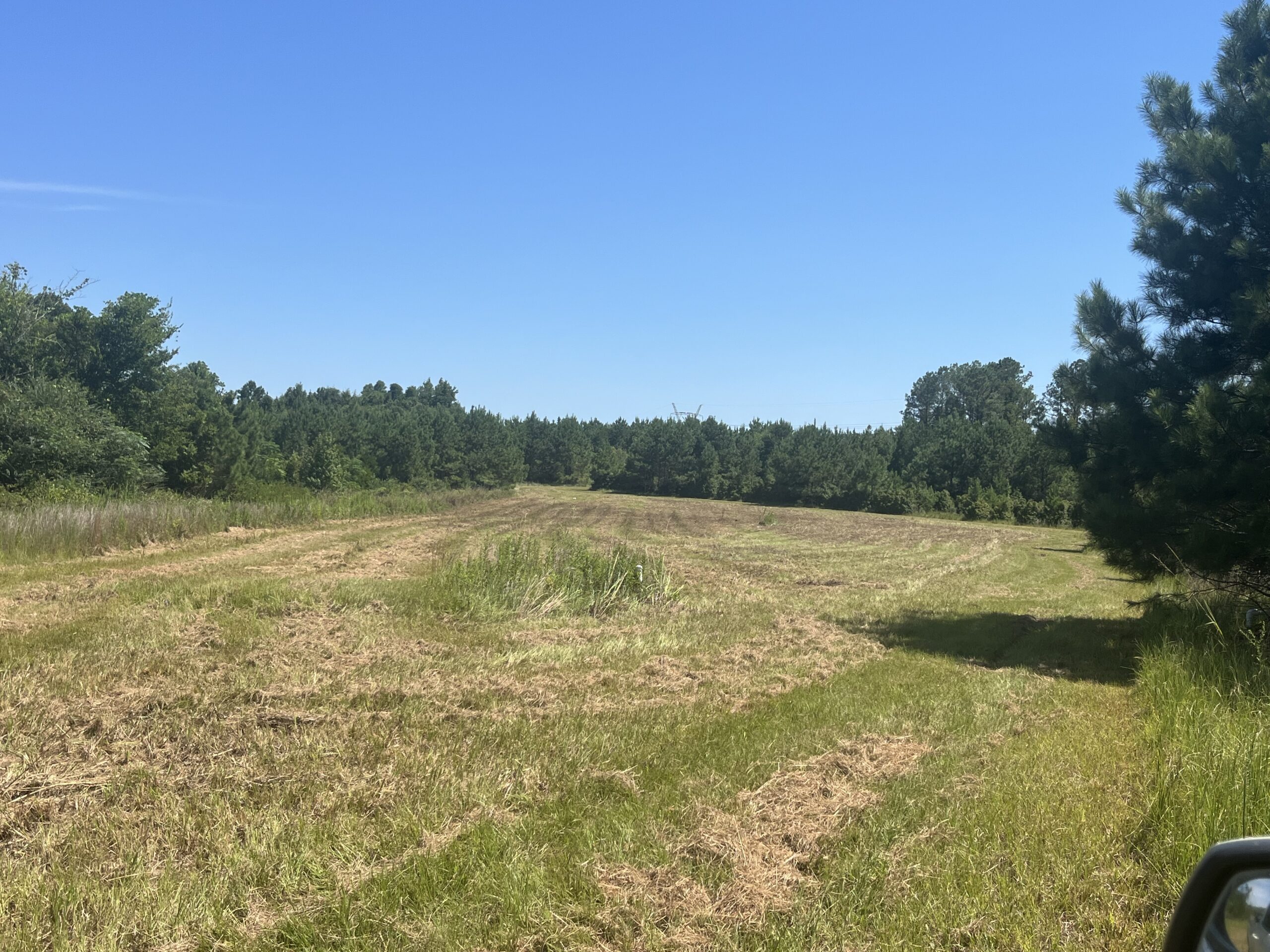 389 Acres Hunting & Timberland with Cabin in Autauga County, Alabama