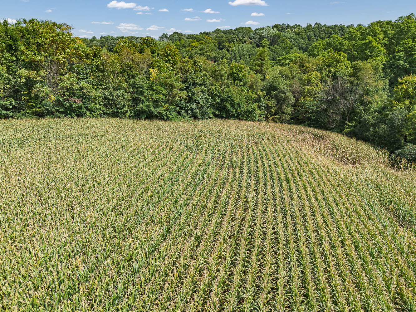 Country Home w/Deer Hunting Richland County