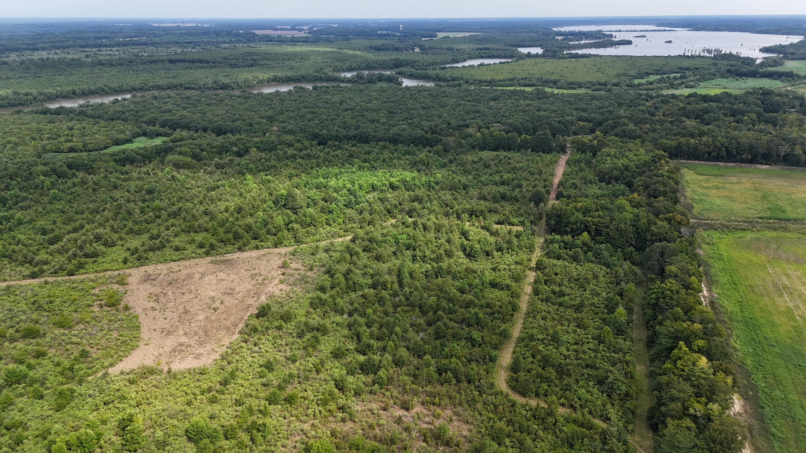 Duck and Deer Hunting Land for Sale Wisner  LA