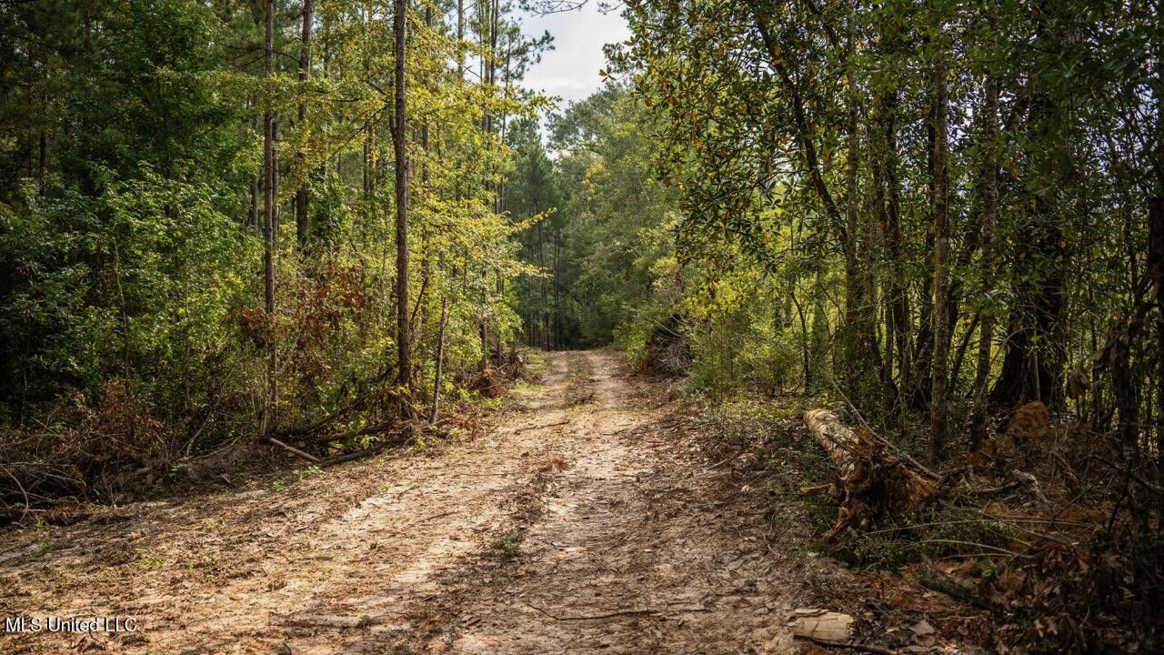 Ramsey Creek 67 Acres for Sale in Centreville, MS