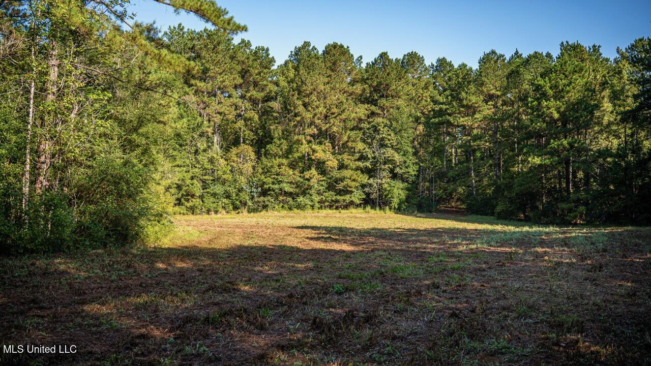 113 Acres Hunting Land with Home in Amite County, MS