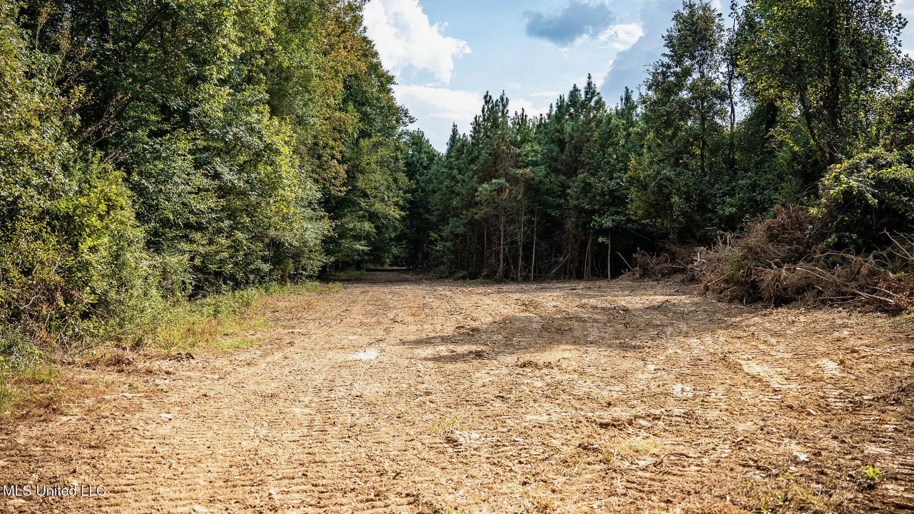 302 Acres in Hermanville, Claiborne County, MS Land