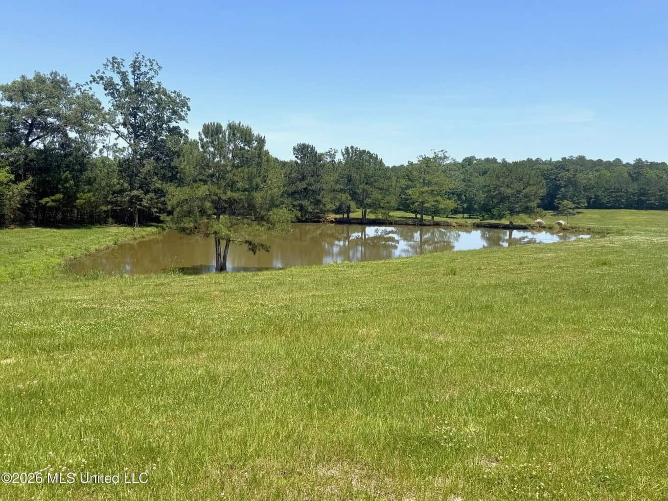Pike Co Home with 125 Acres in North Pike School District