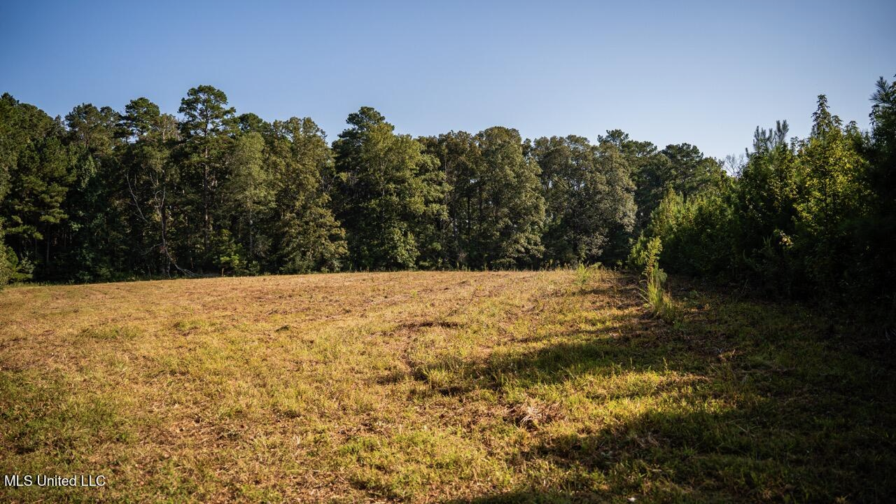 Cotton Creek 169 Acres for Sale in Amite County, MS
