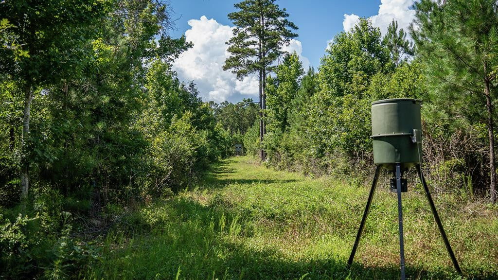 Gloster 38 – Hunting Land in Amite County, Mississippi