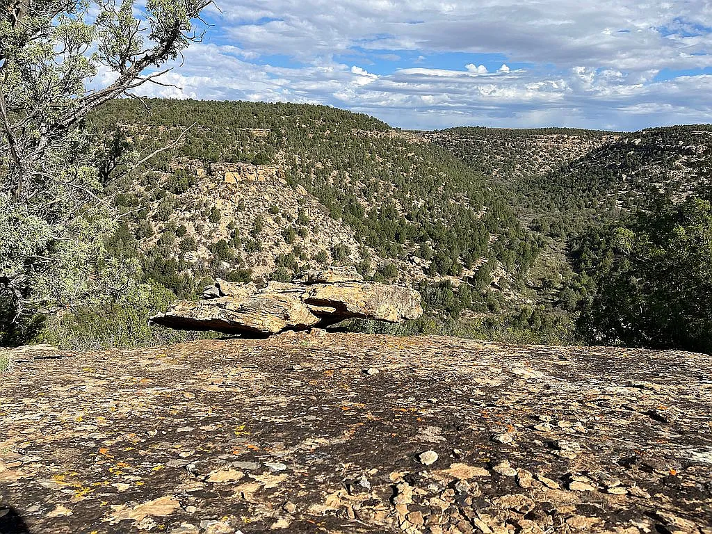 ATTENTION COLORADO AND UTAH HUNTERS!!!