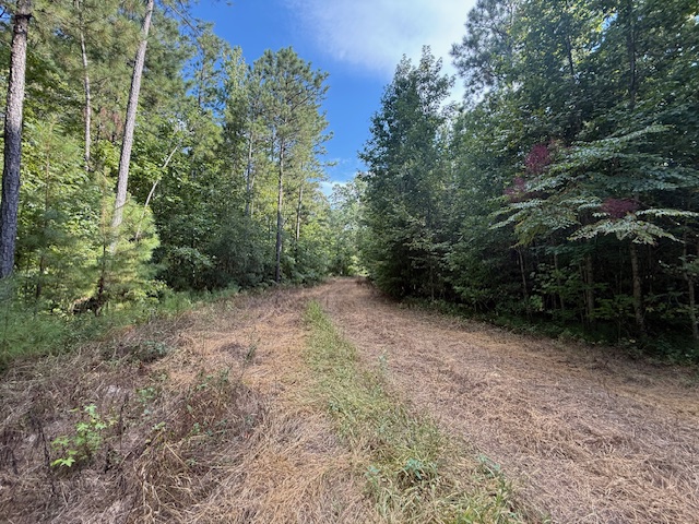 Thomaston Family Hunting and Homesite