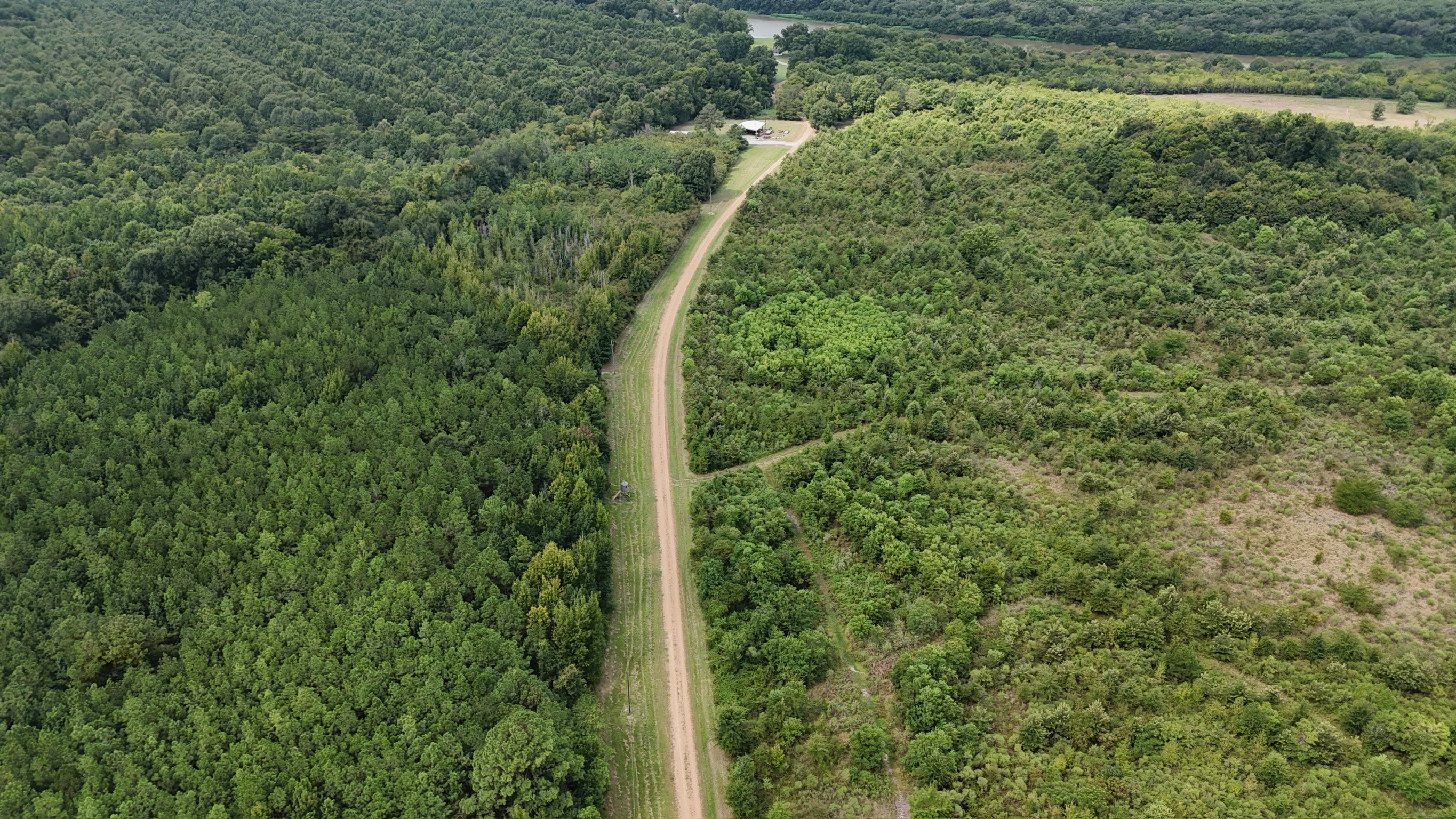 Duck and Deer Hunting Land for Sale Wisner  LA