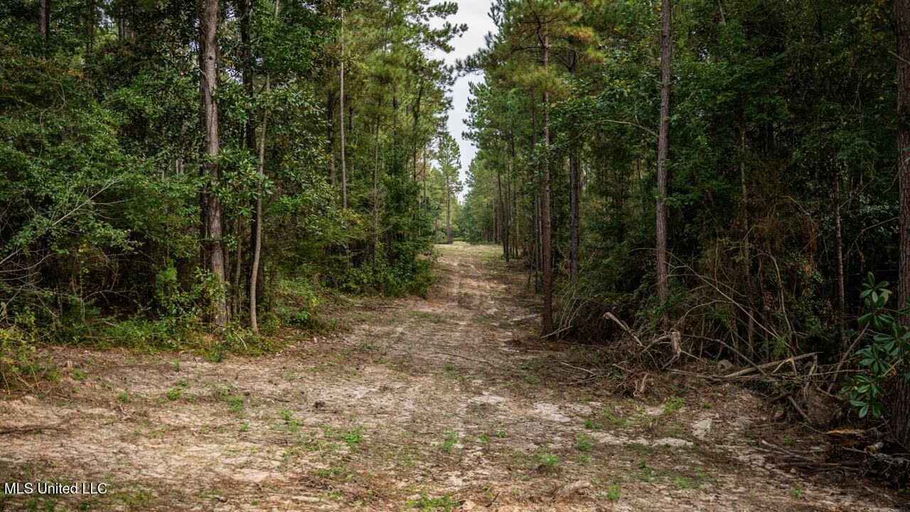 Ramsey Creek 67 Acres for Sale in Centreville, MS