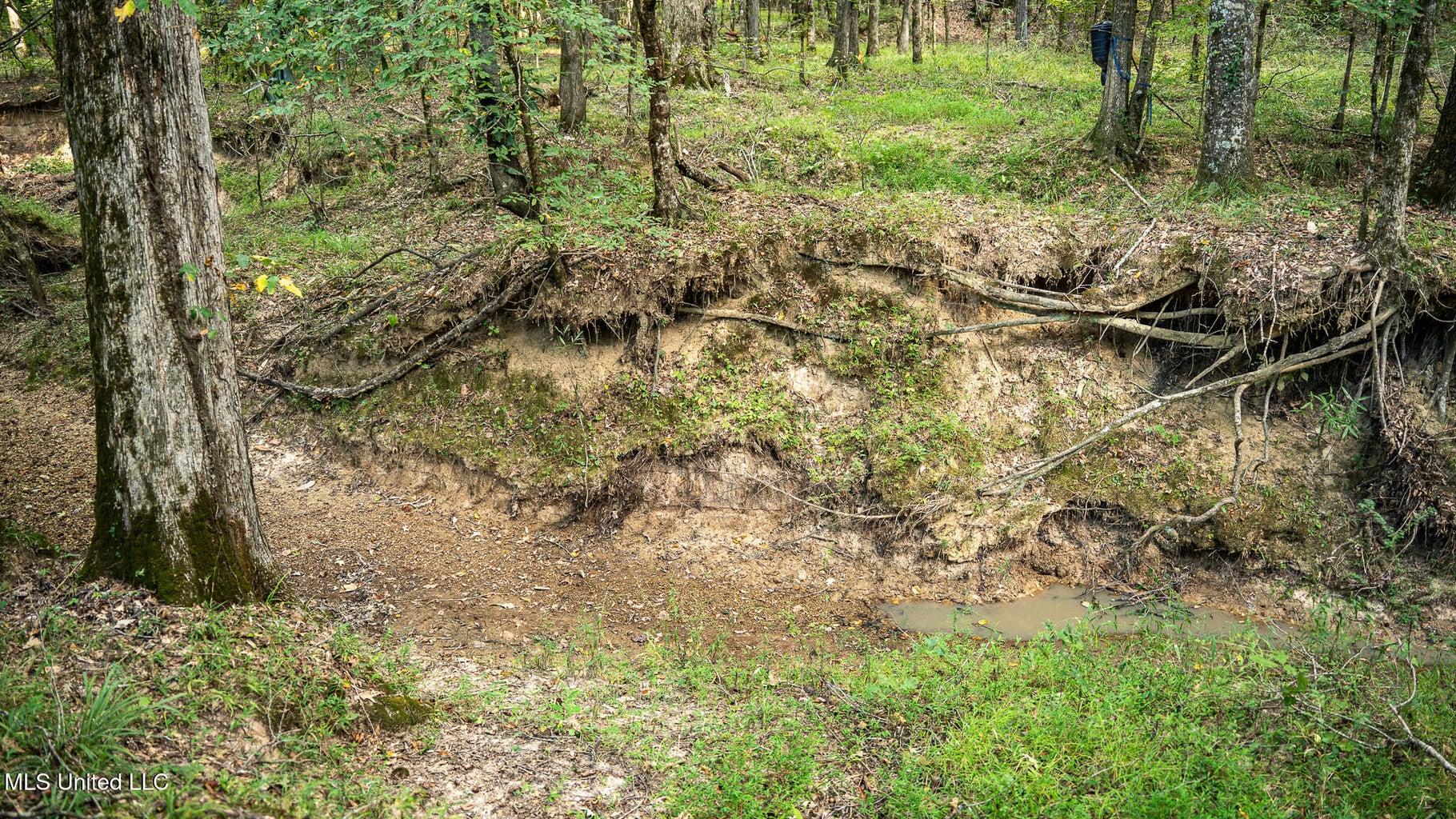 302 Acres in Hermanville, Claiborne County, MS Land