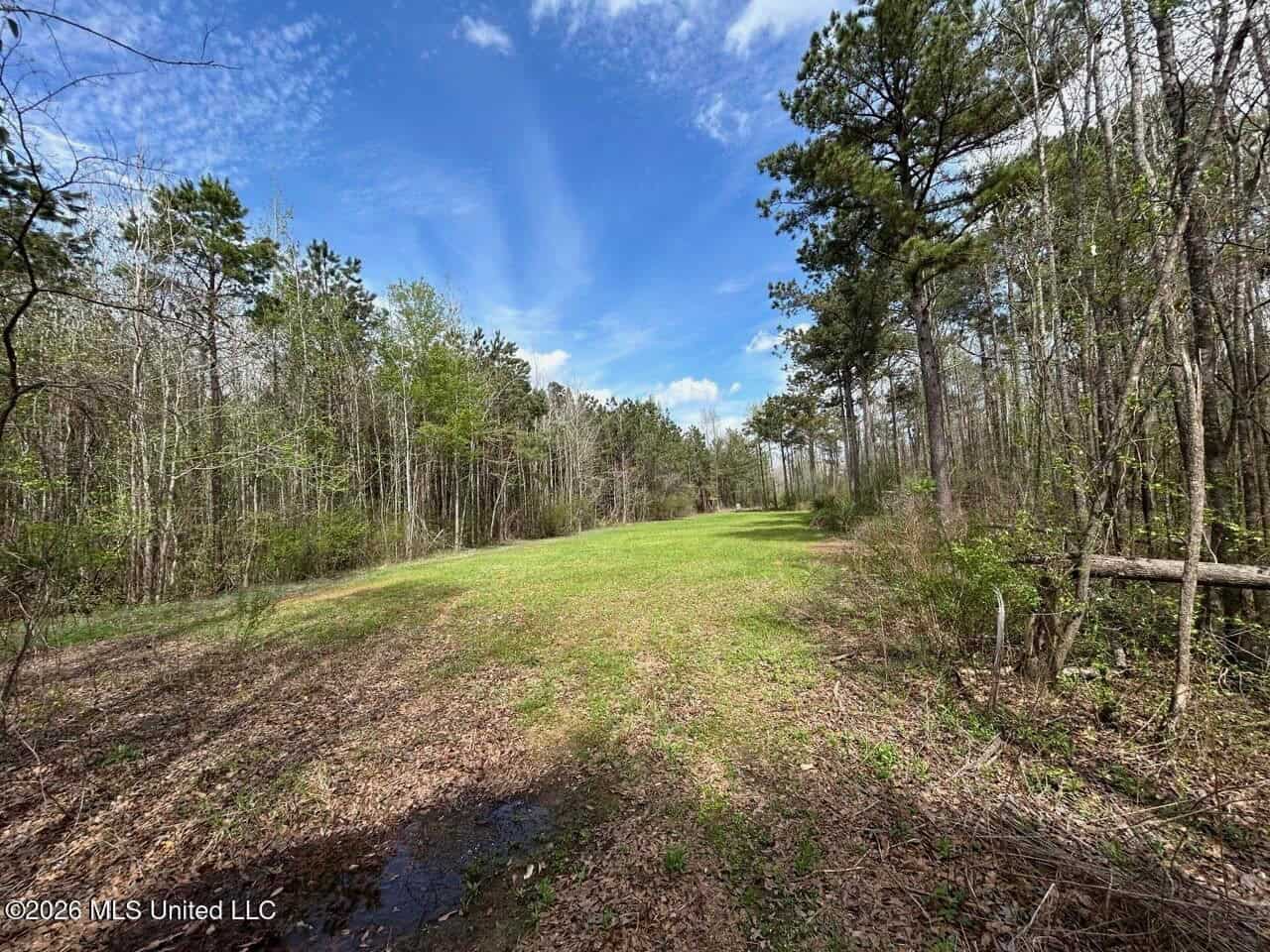 Boeuf Bend on Boeuf River North Louisiana Retreat