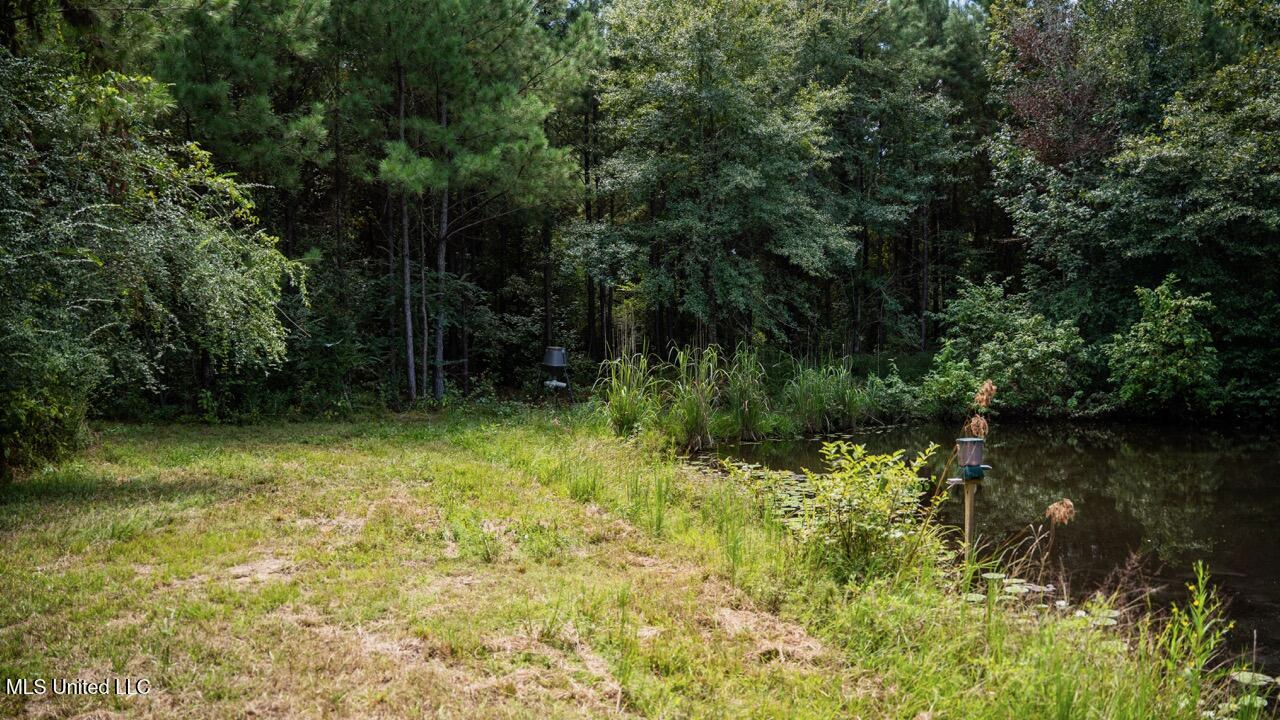 Hunting Land for Sale in Copiah County MS – Dixie Garden 46