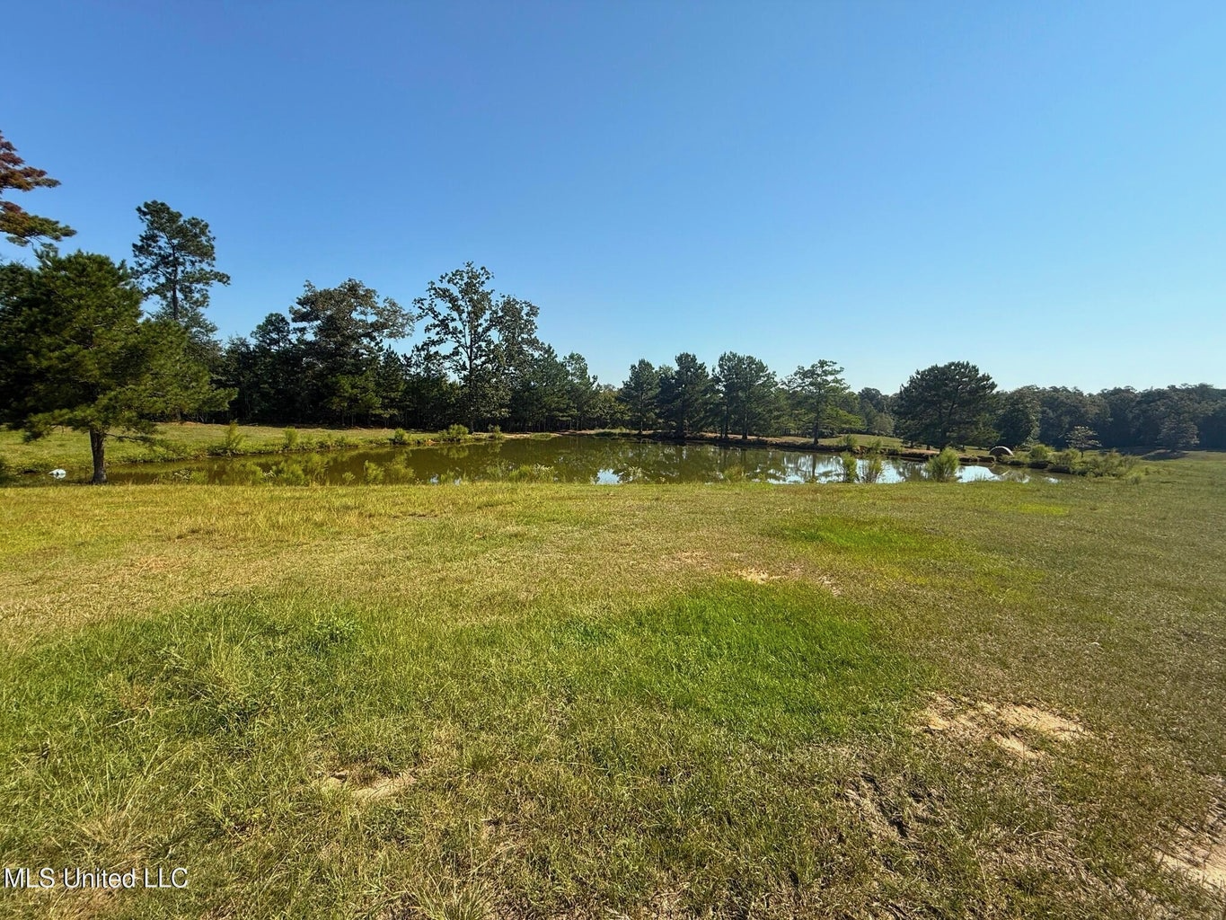 Pike Co Home with 125 Acres in North Pike School District