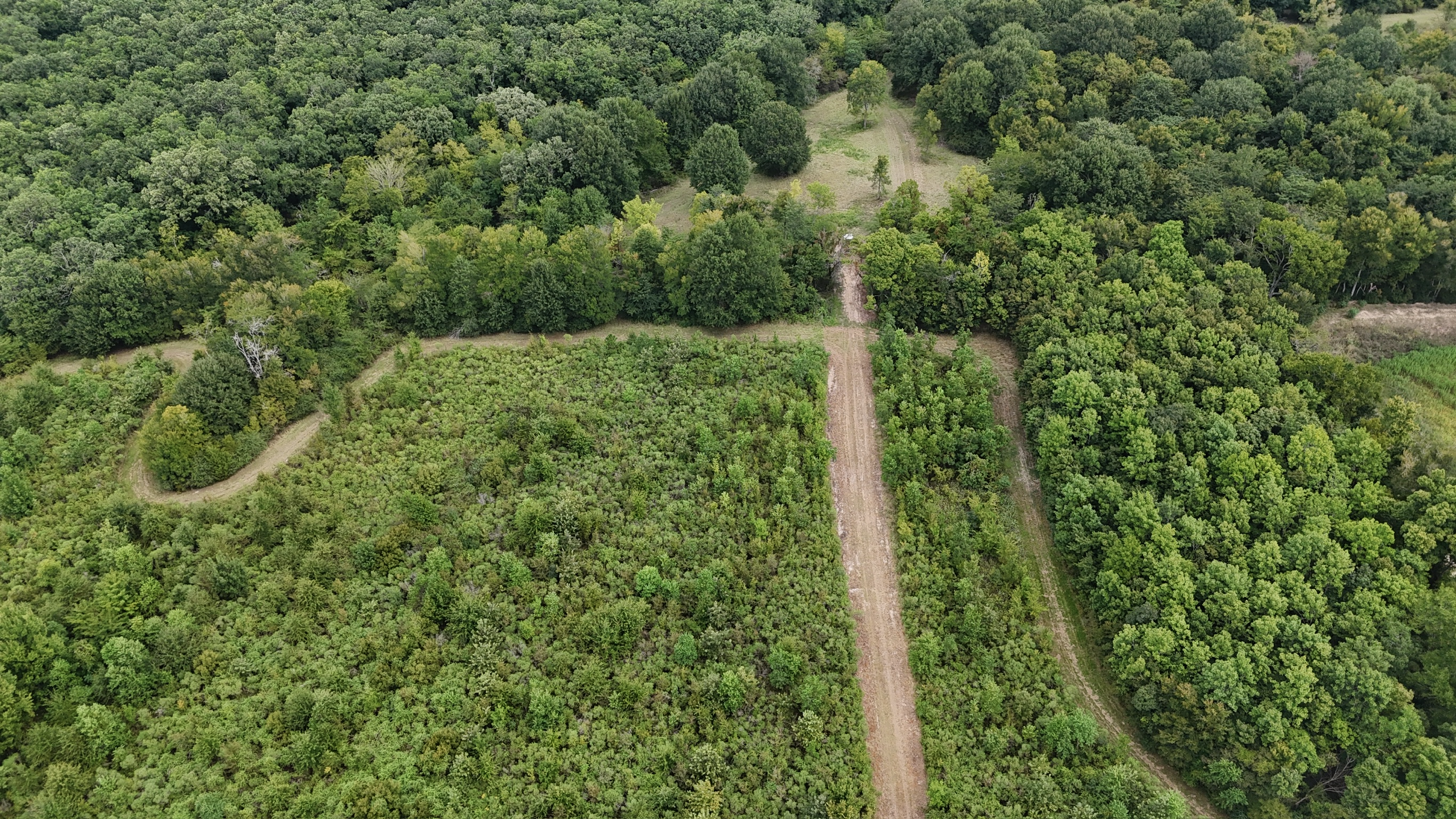 Duck and Deer Hunting Land for Sale Wisner  LA