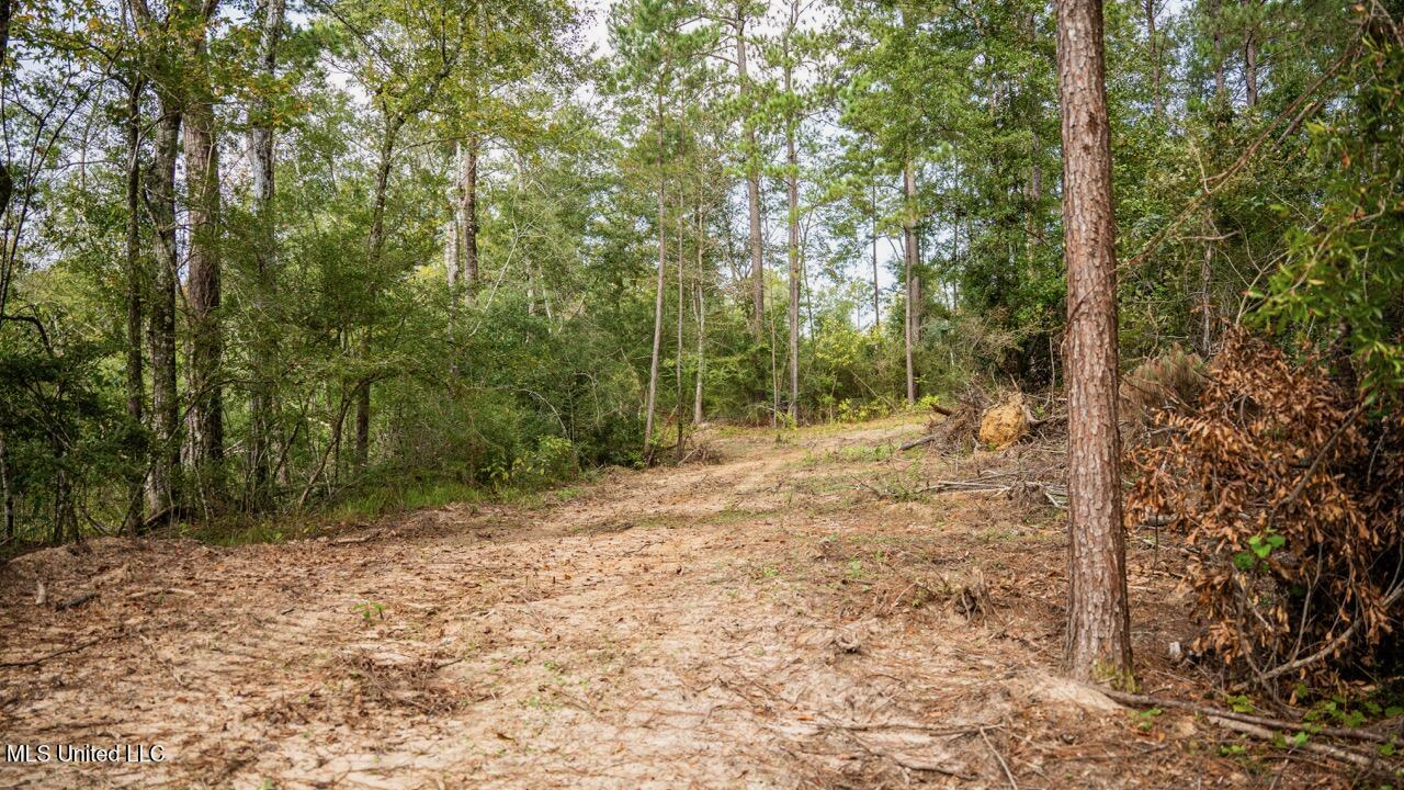 Ramsey Creek 67 Acres for Sale in Centreville, MS