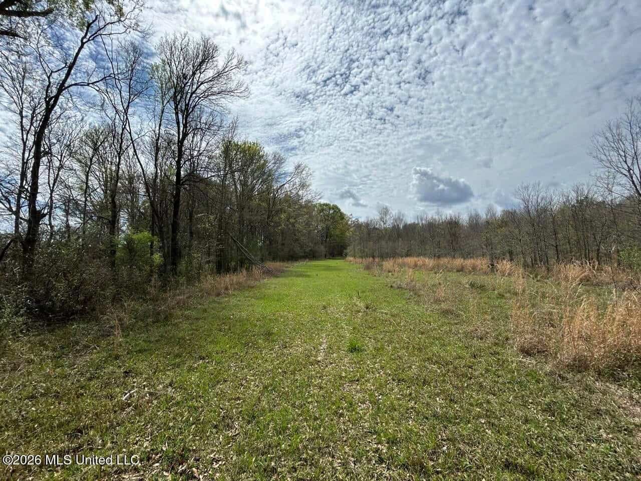Boeuf Bend on Boeuf River North Louisiana Retreat