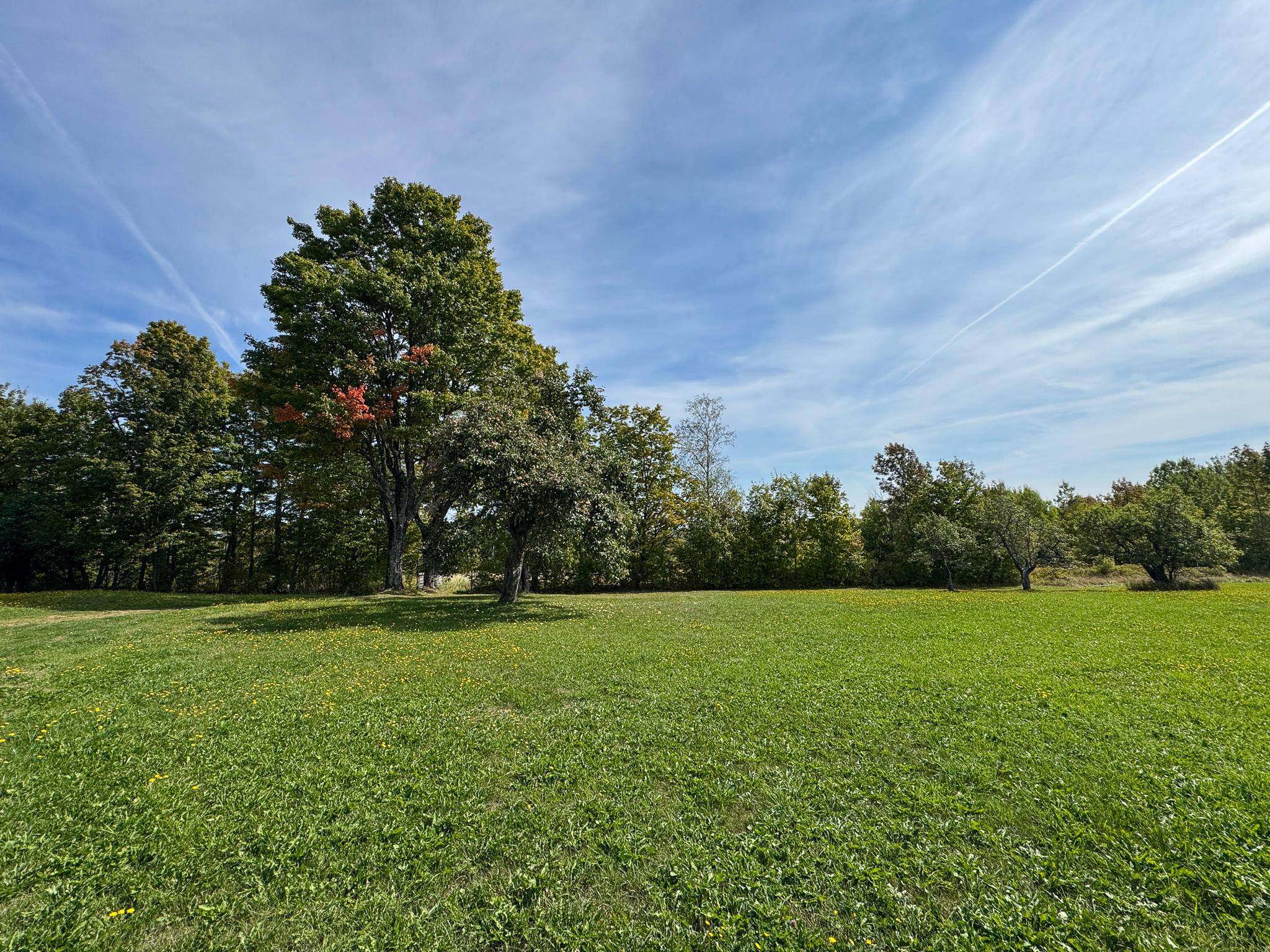 Off-Grid Log Home on 33.4 Acres
