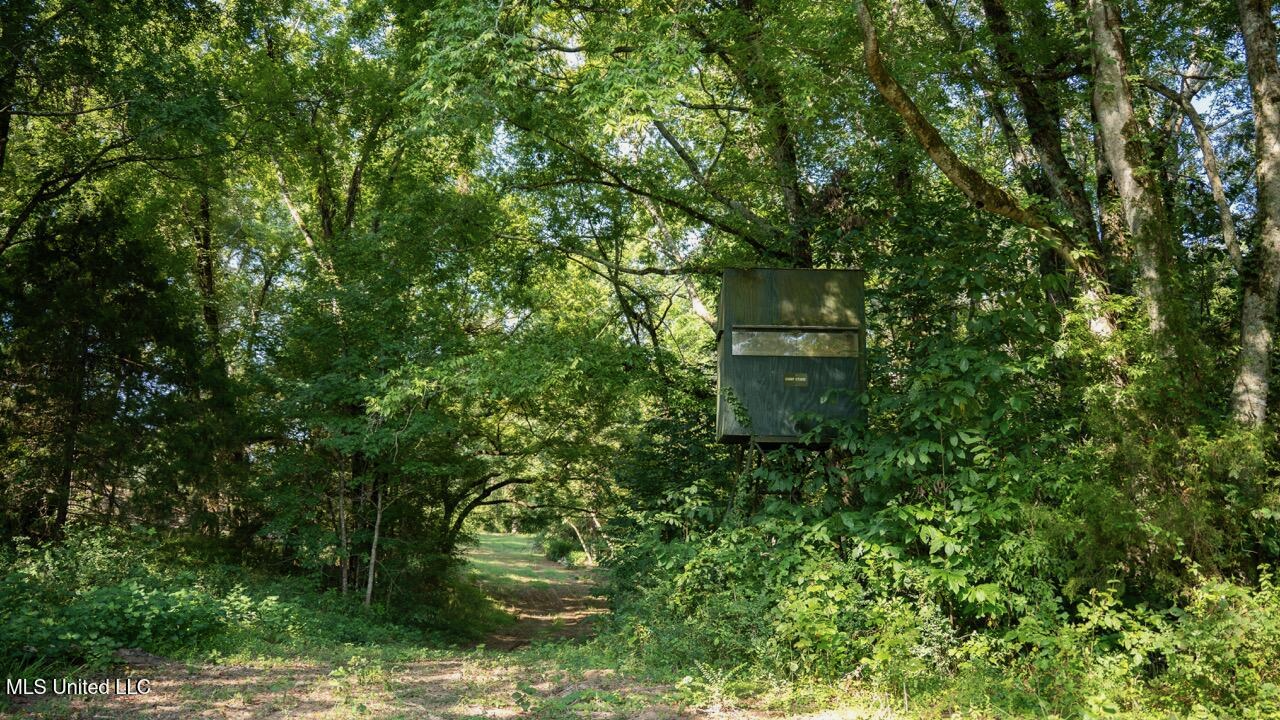 Turkey Roost Lodge in Wilkinson County, Mississippi