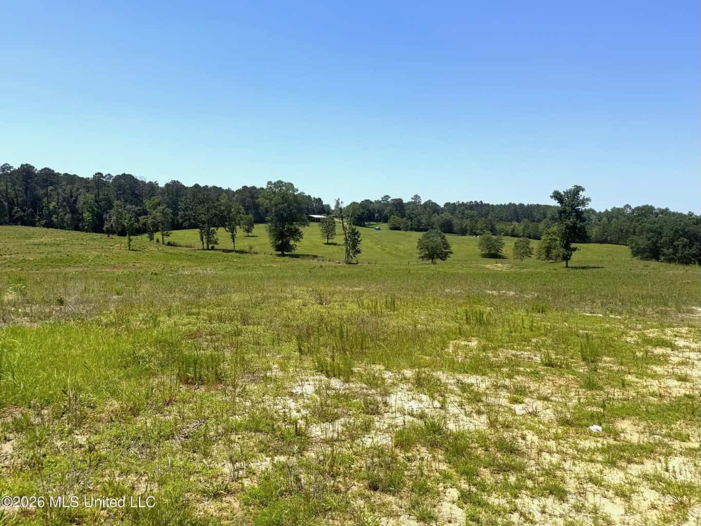Pike Co Home with 125 Acres in North Pike School District