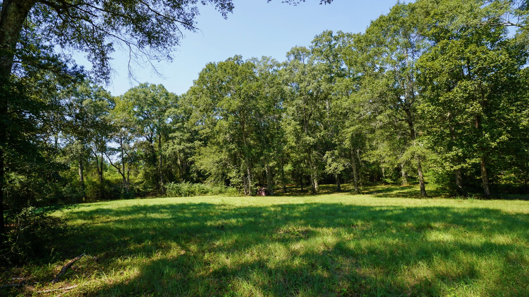52.5 Acres of Recreational Land for Sale in Jones County MS