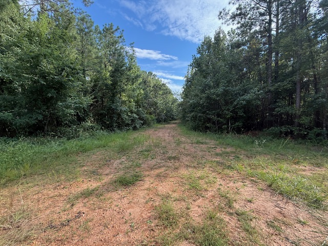 Thomaston Family Hunting and Homesite