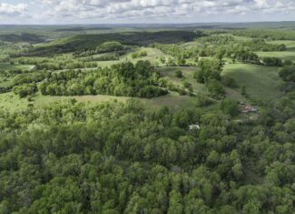 Douglas County, Missouri Hunting Land For Sale near Ava, Mo