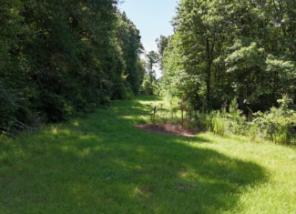 Hunting Property and Homesite in Jackson Parish LA