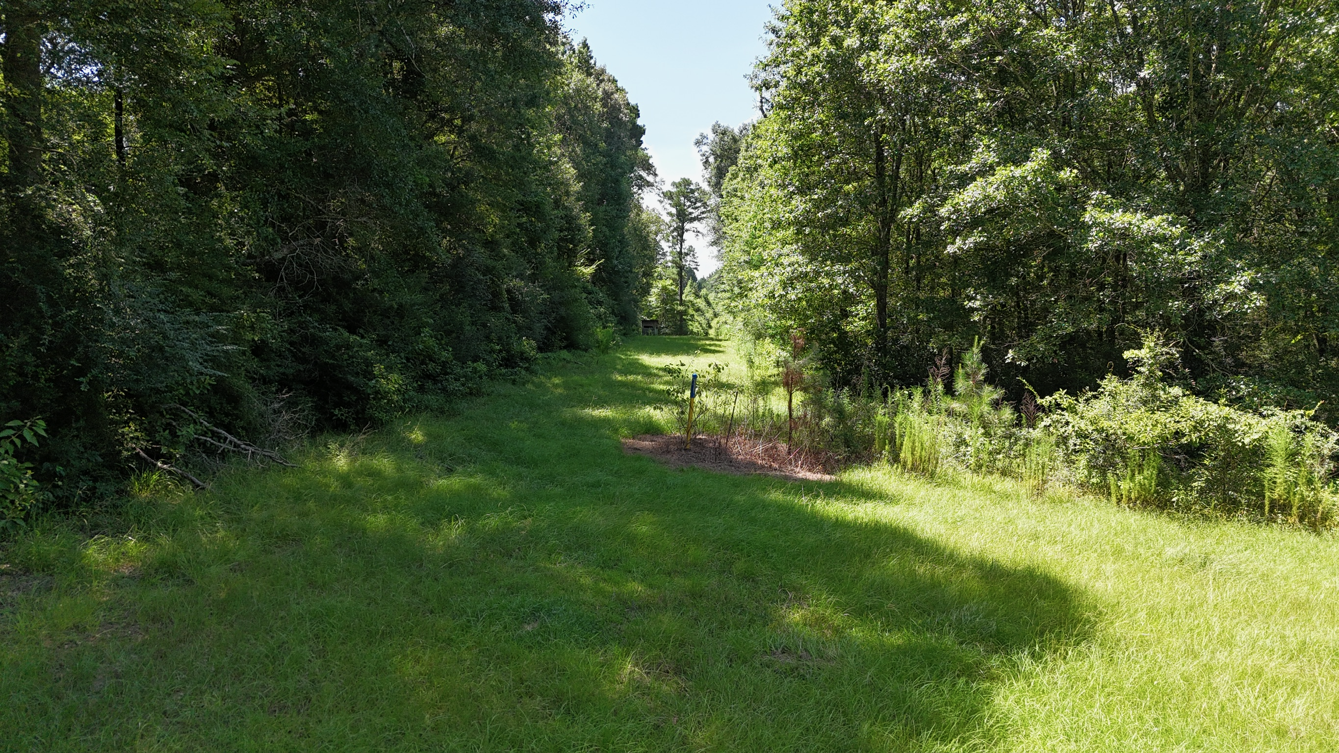 Hunting Property and Homesite in Jackson Parish LA