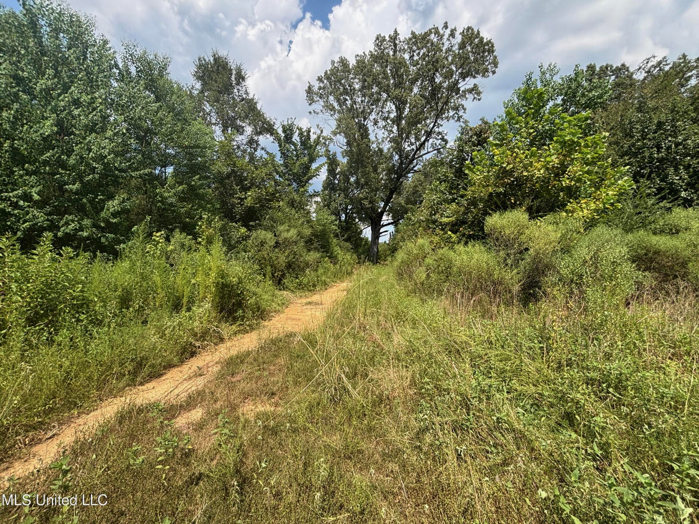 88 Acres for Sale in Hinds County Jackson, MS
