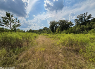 95 Acres for Sale in Hinds County Jackson, MS