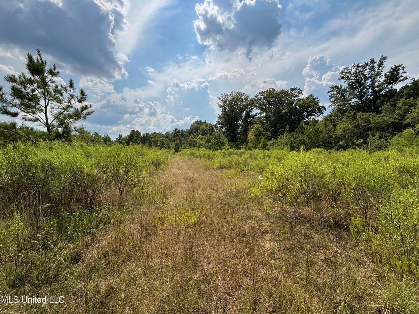 95 Acres for Sale in Hinds County Jackson, MS