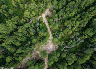 Ramsey Creek 67 Acres for Sale in Centreville, MS