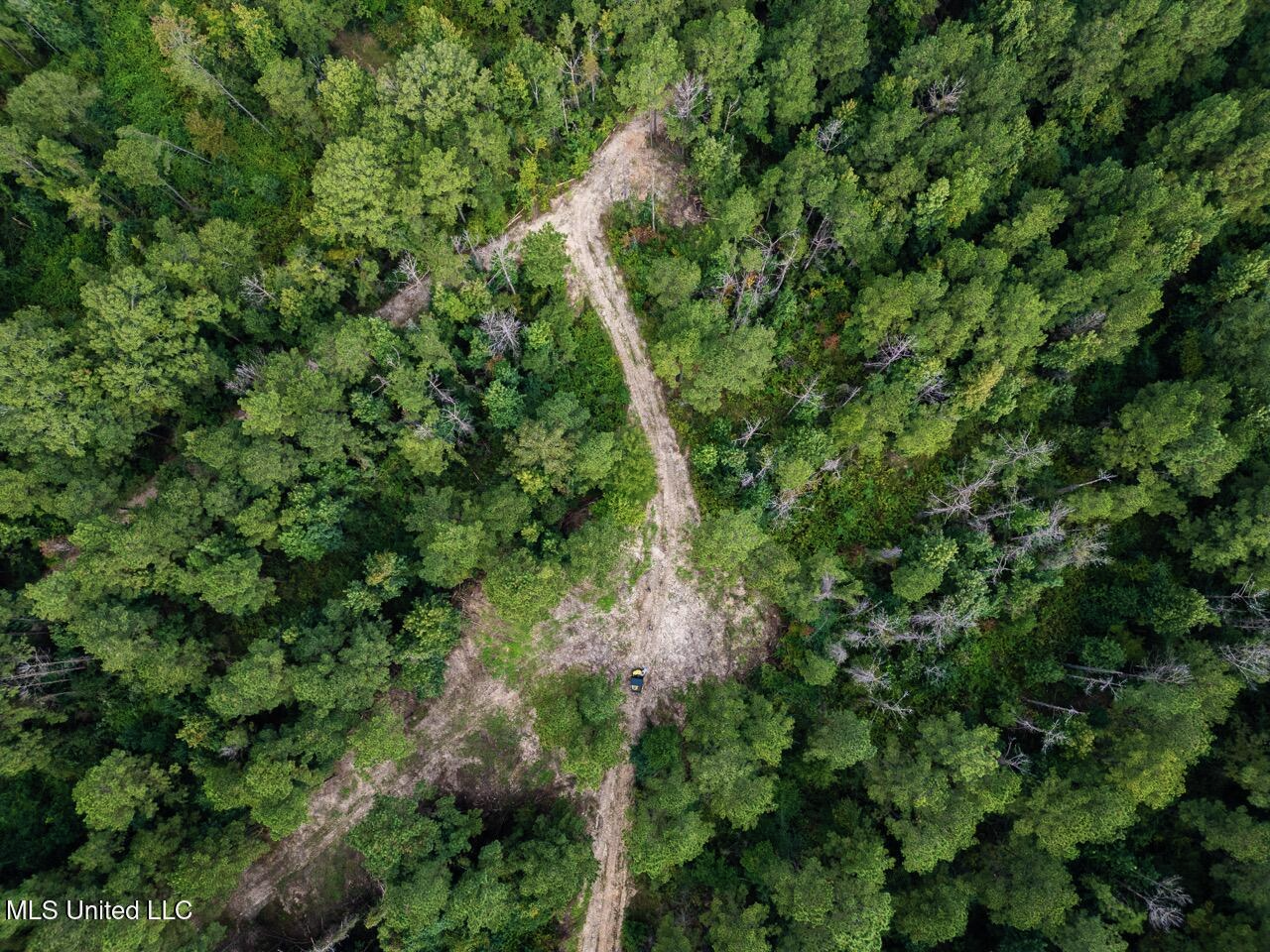 Ramsey Creek 67 Acres for Sale in Centreville, MS