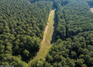 113 Acres Hunting Land with Home in Amite County, MS